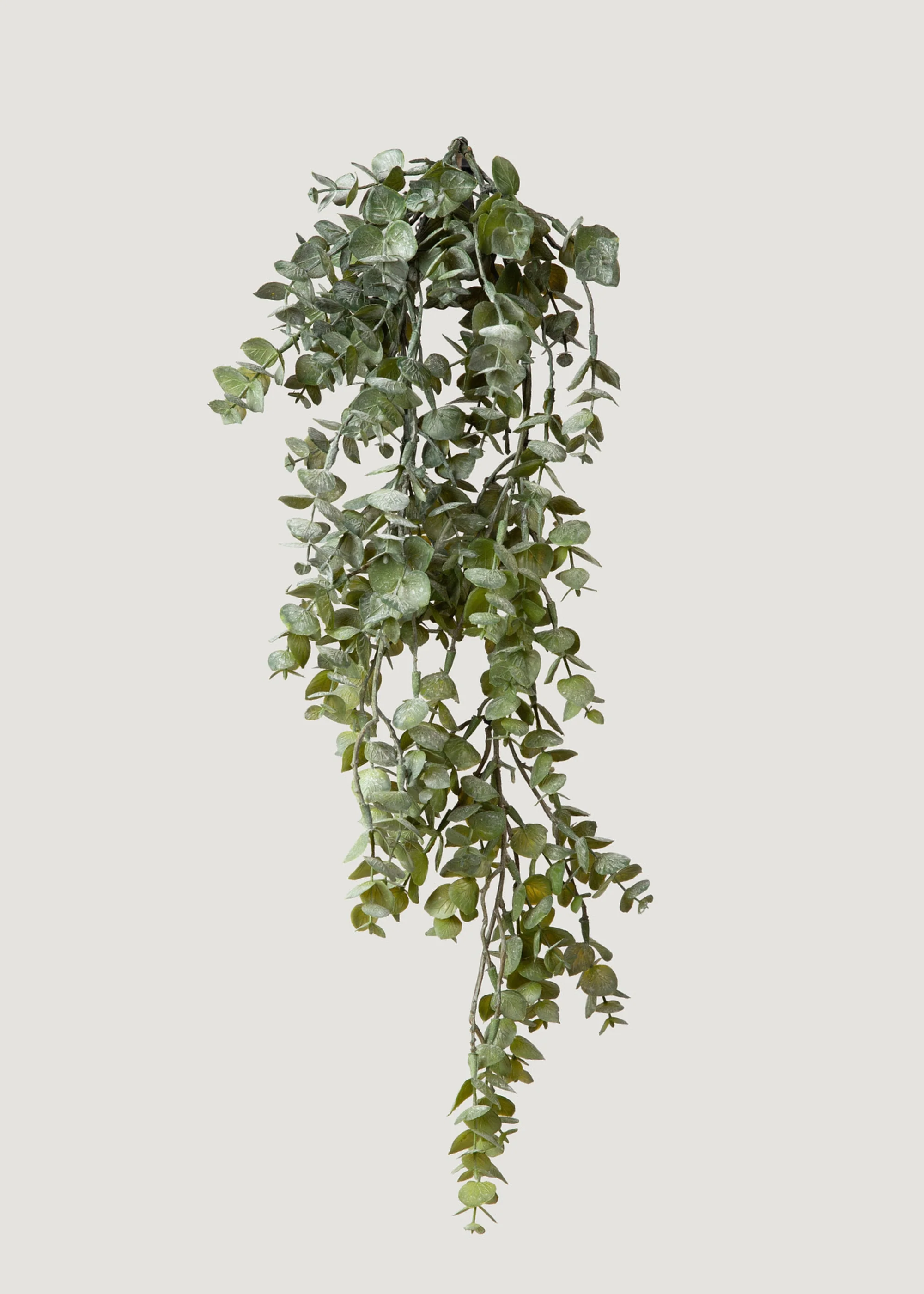 Everyday Best-Selling Artificial Plants and Dried Grasses